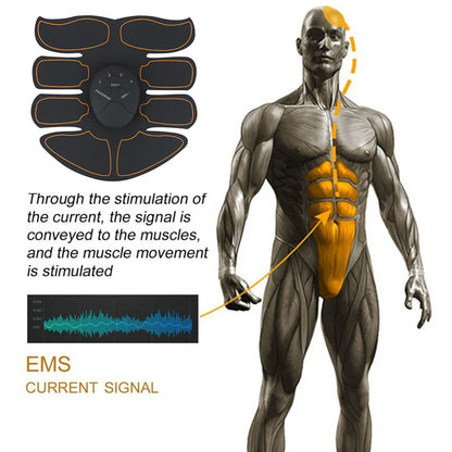 Electric Muscle Stimulator